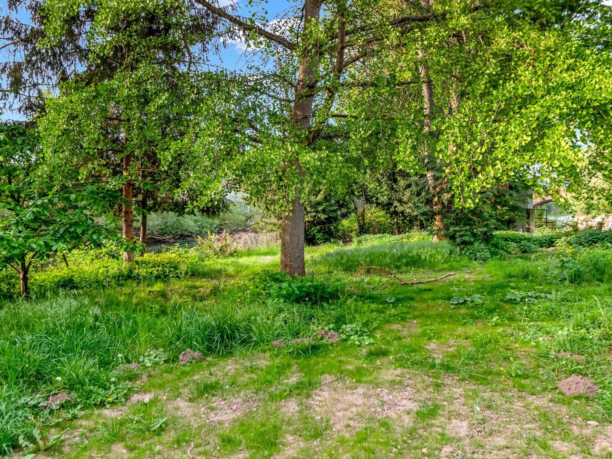 Altstadt Apartment Am Wasser Mit Parkplatz Und Riesigem Garten Bad Kreuznach Εξωτερικό φωτογραφία