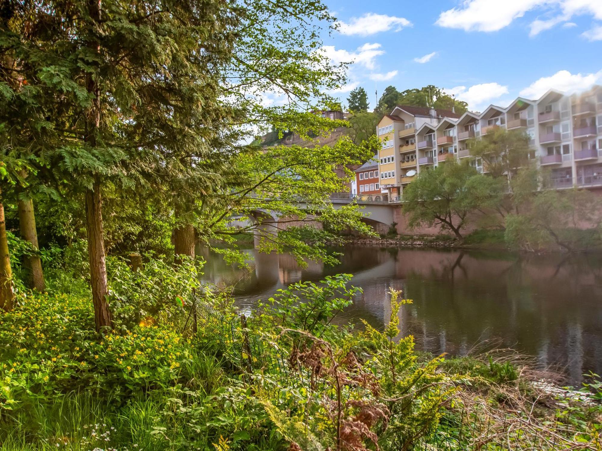 Altstadt Apartment Am Wasser Mit Parkplatz Und Riesigem Garten Bad Kreuznach Εξωτερικό φωτογραφία